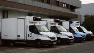 Les camions de Fresh Man