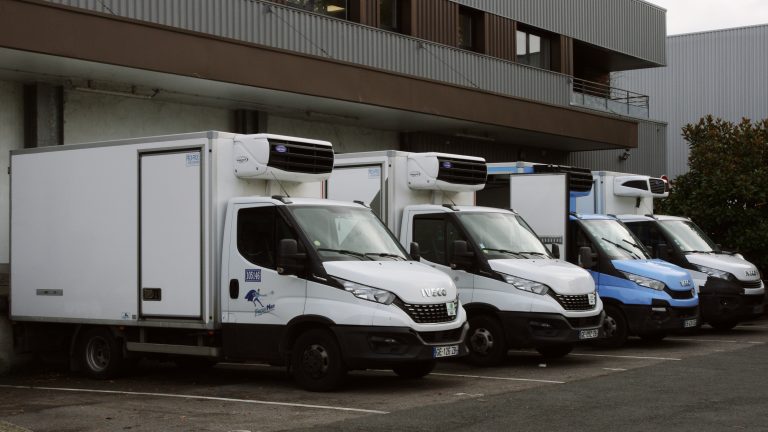 Les camions de Fresh Man